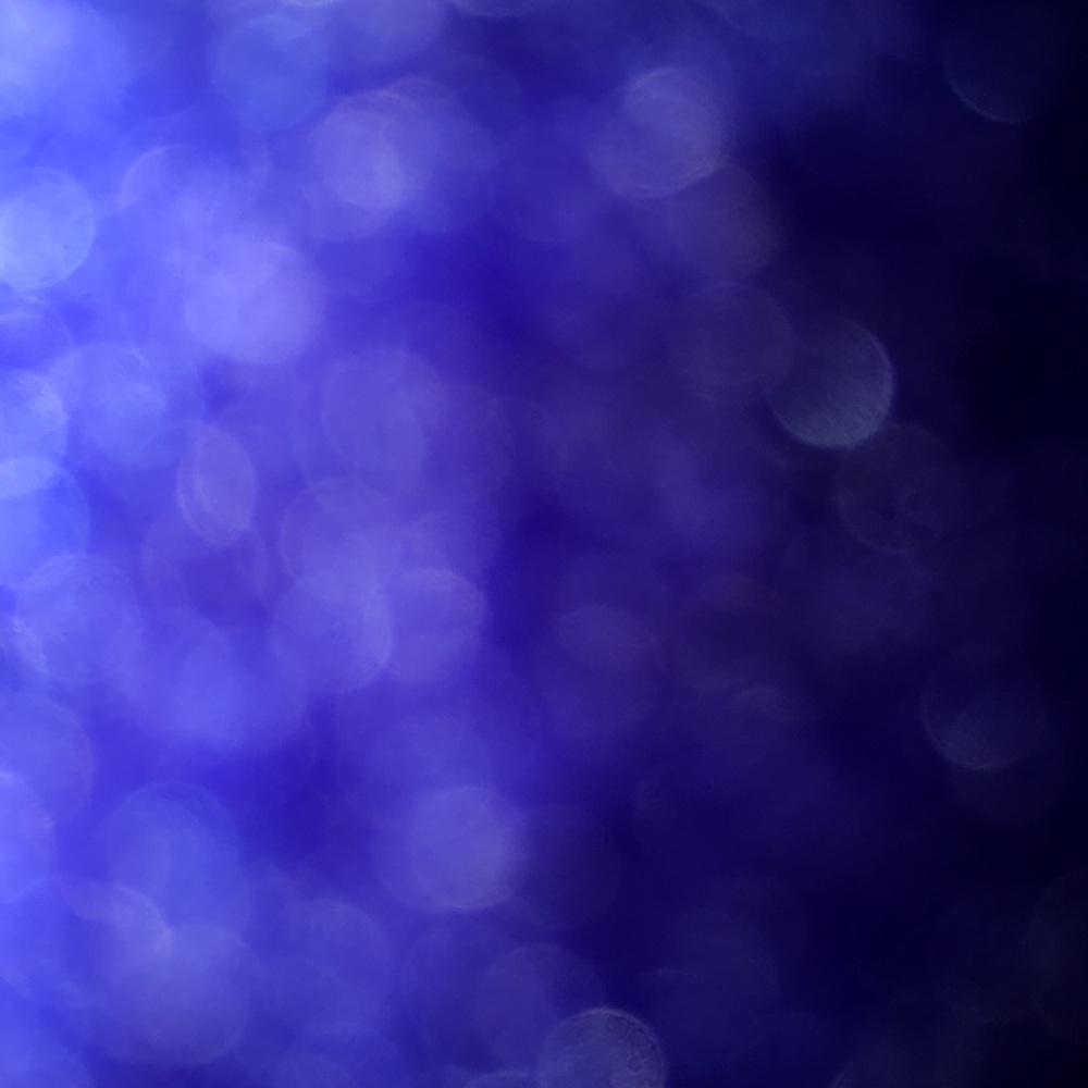 Meet your Posher, Carmen